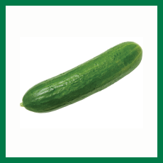 Oz-ozidan yopishgan mushuk surati