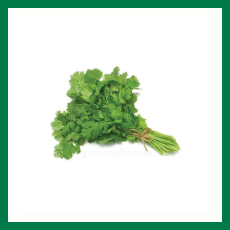 Ayollar hojatxonasida videoni tomosha qilish