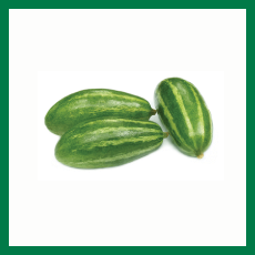 Fohishalarning G minnatdor surati