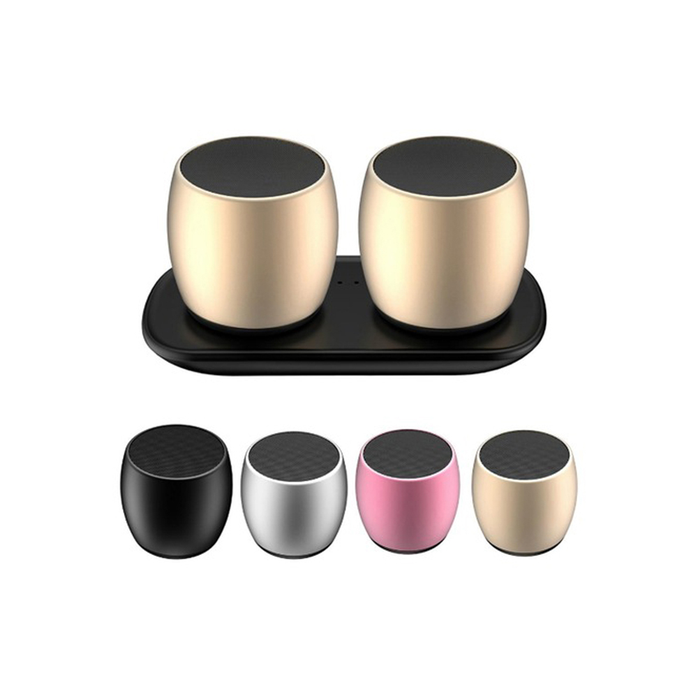 sardine wireless speaker f1